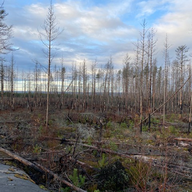 Stora skogsbrandsområdet i Norra Västmanland